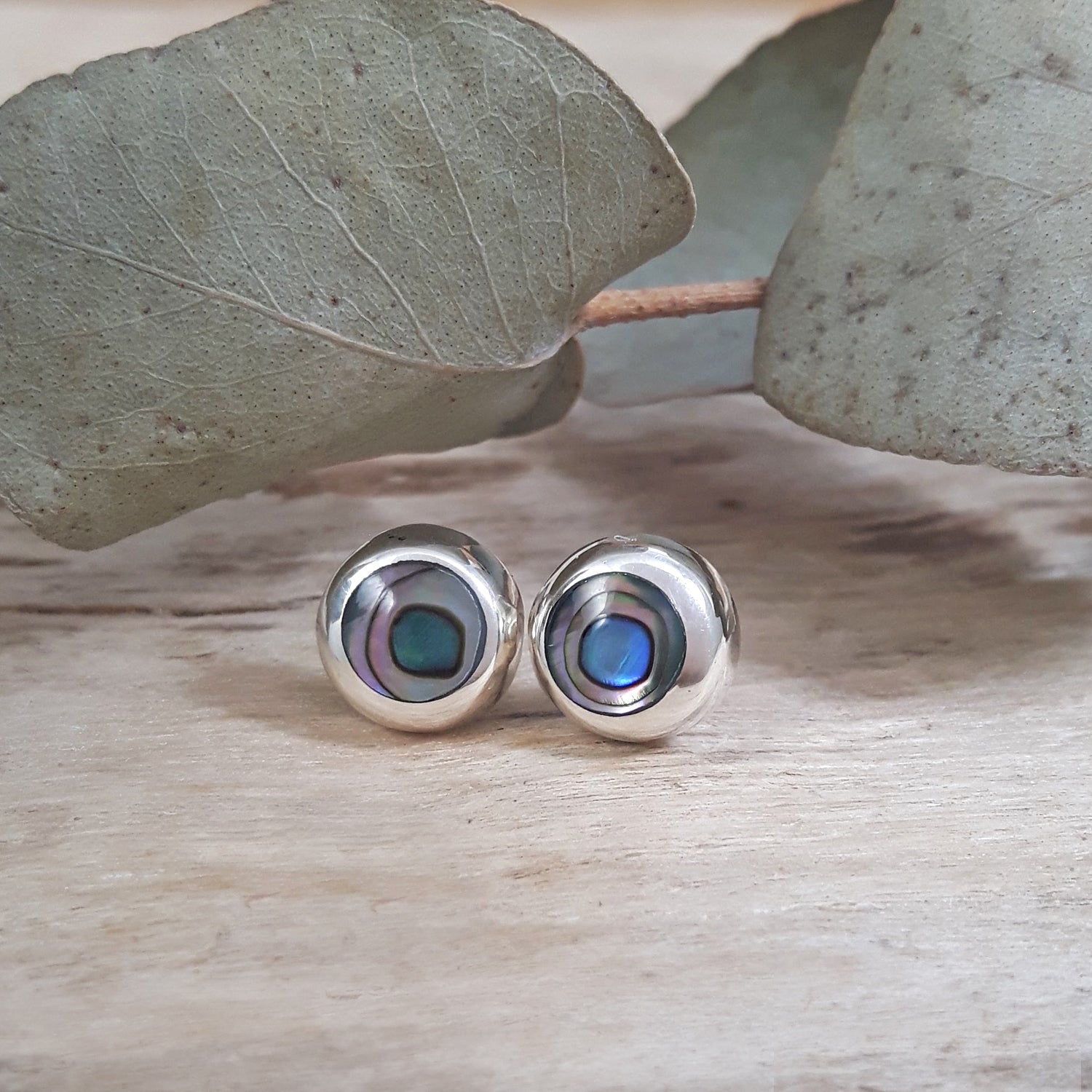Dainty abalone circle stud earrings in 925 sterling silver, iridescent blue and teal shell, flat-lay on wood with eucalyptus.