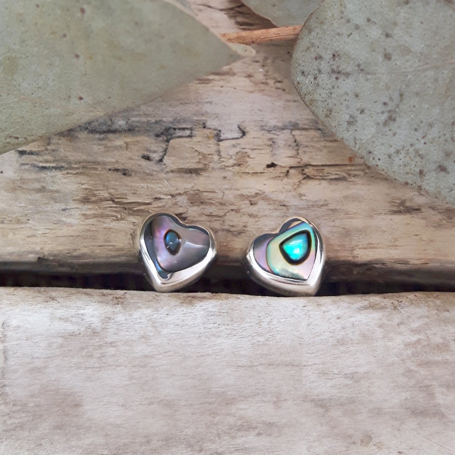 Pair of dainty abalone heart stud earrings in 925 sterling silver, teal and blue iridescent shell, styled on driftwood.