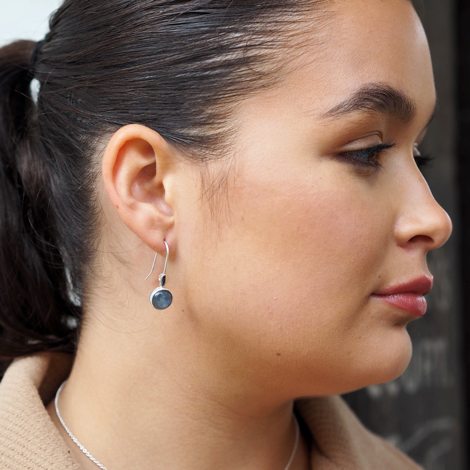 Alba Kyanite Leaf Circle Drop Earrings