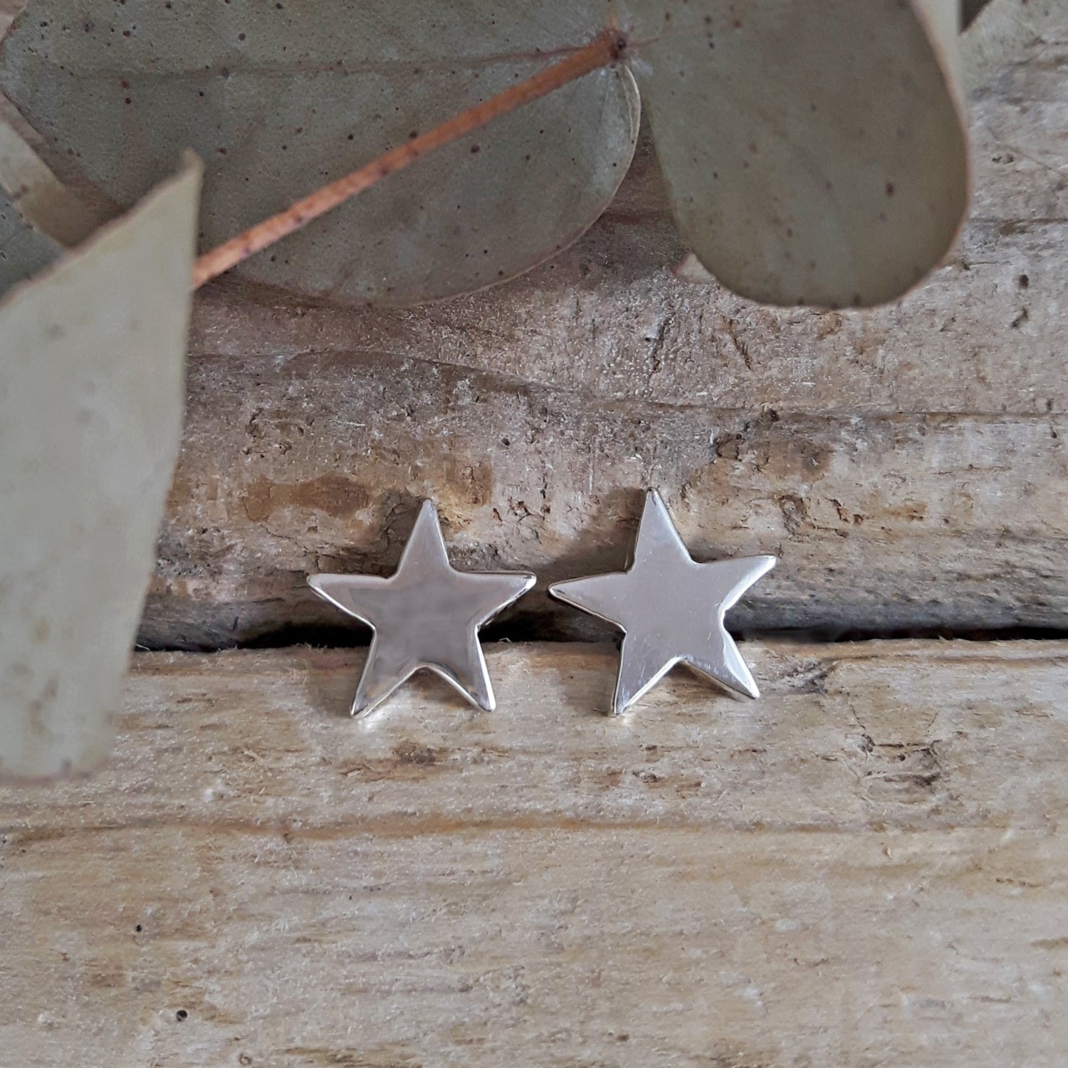 Muse Star Stud Earrings