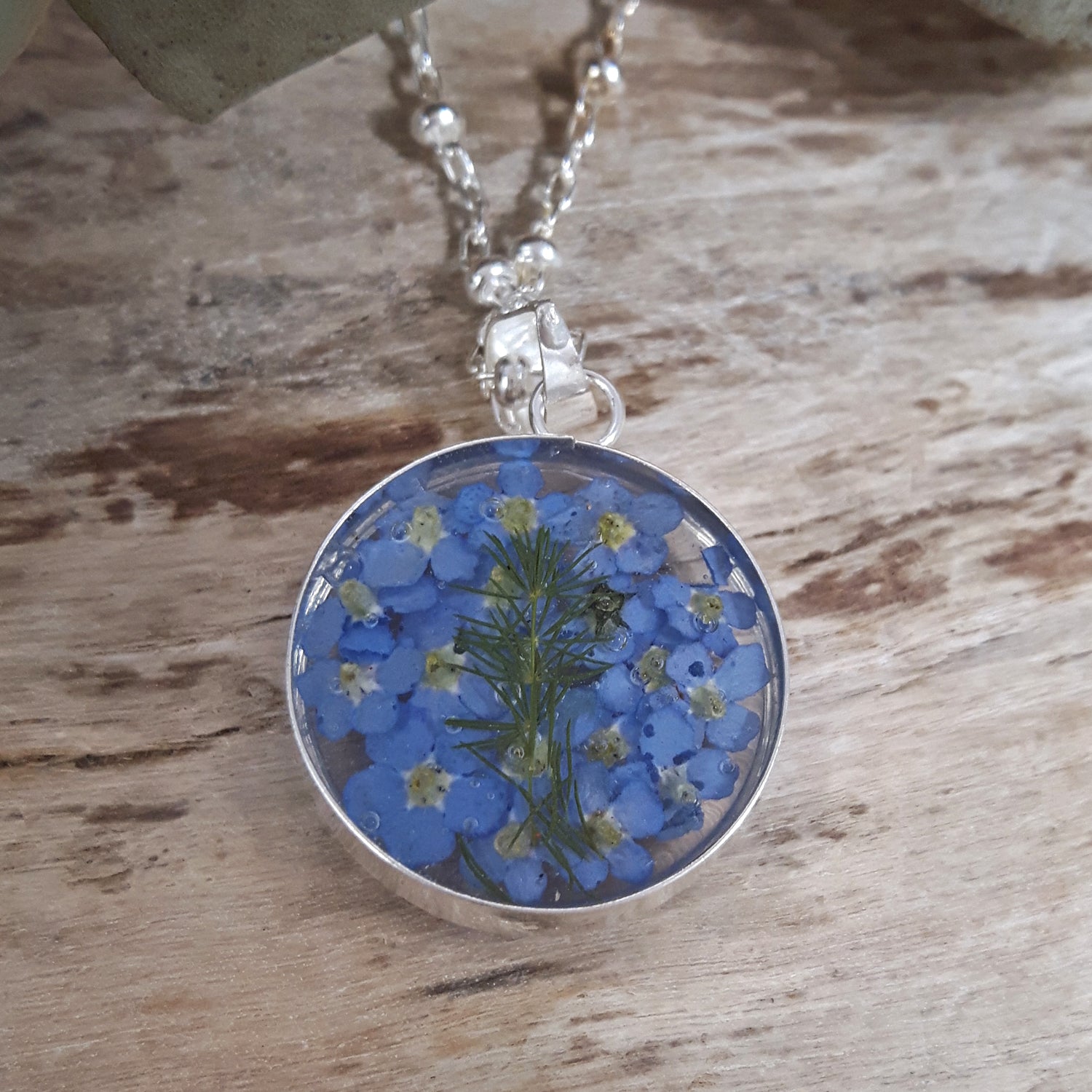 Flores Forget-Me-Not Real Flower Round Medium Pendant