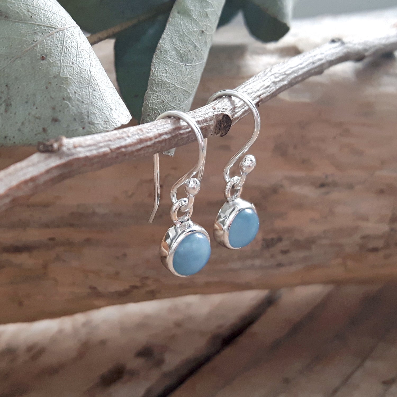 Small Aquamarine drop earrings hanging from a branch.
