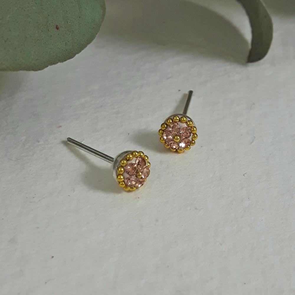 Allegra Gold Tiny Stud Earrings