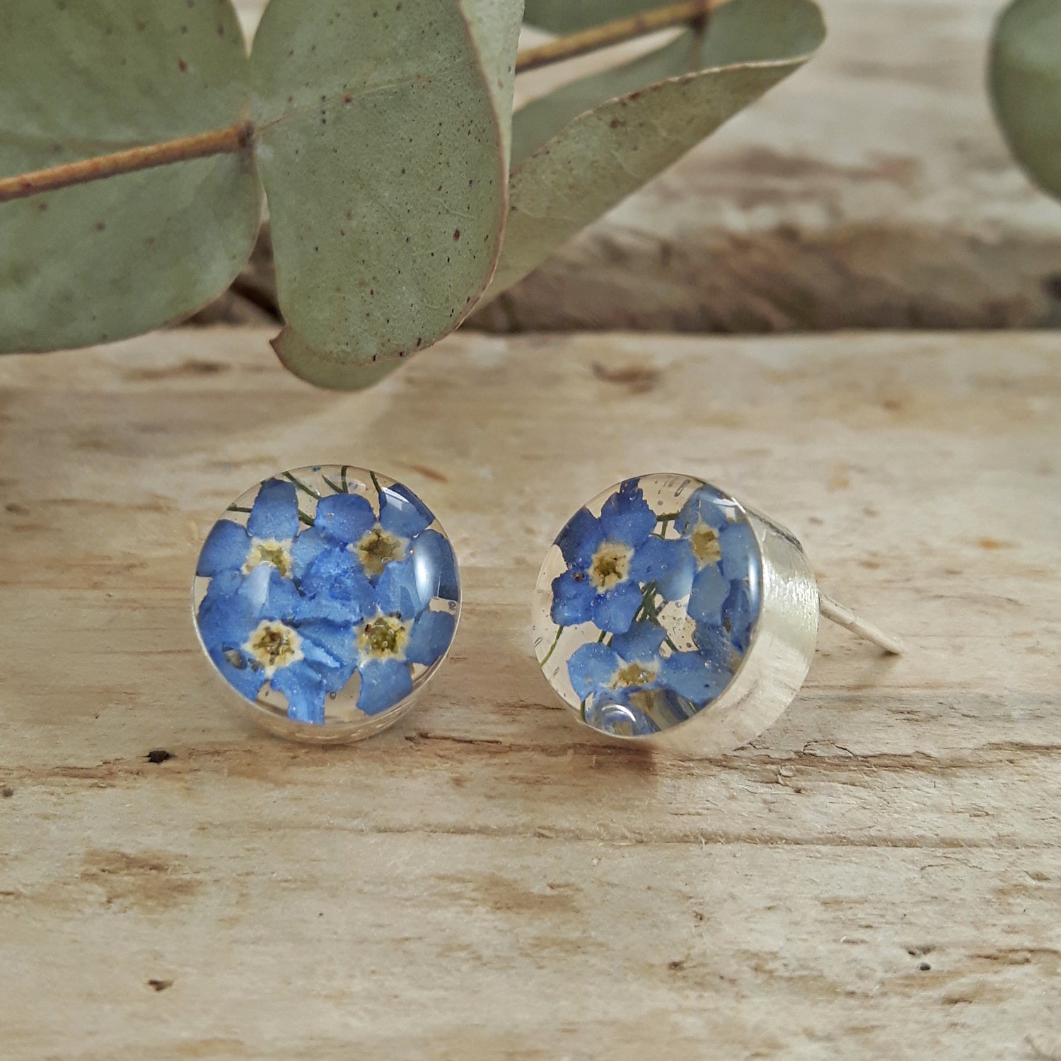 Flores Forget-Me-Not Round Stud Earrings