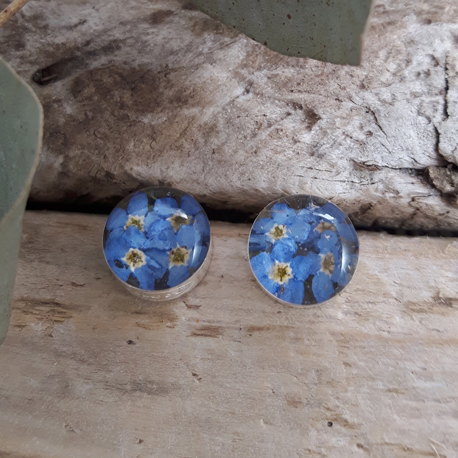 Flores Forget-Me-Not Round Stud Earrings