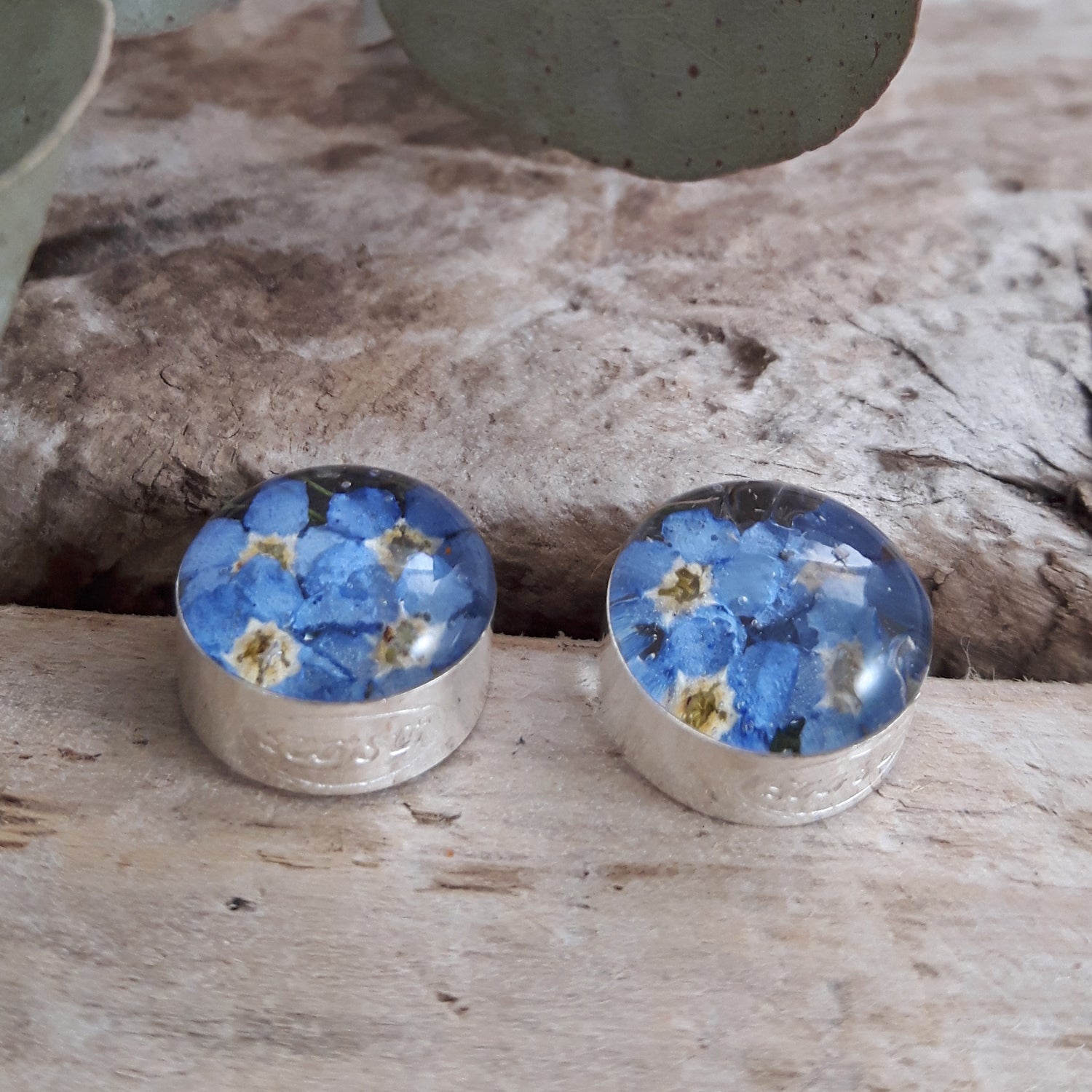 Flores Forget-Me-Not Round Stud Earrings