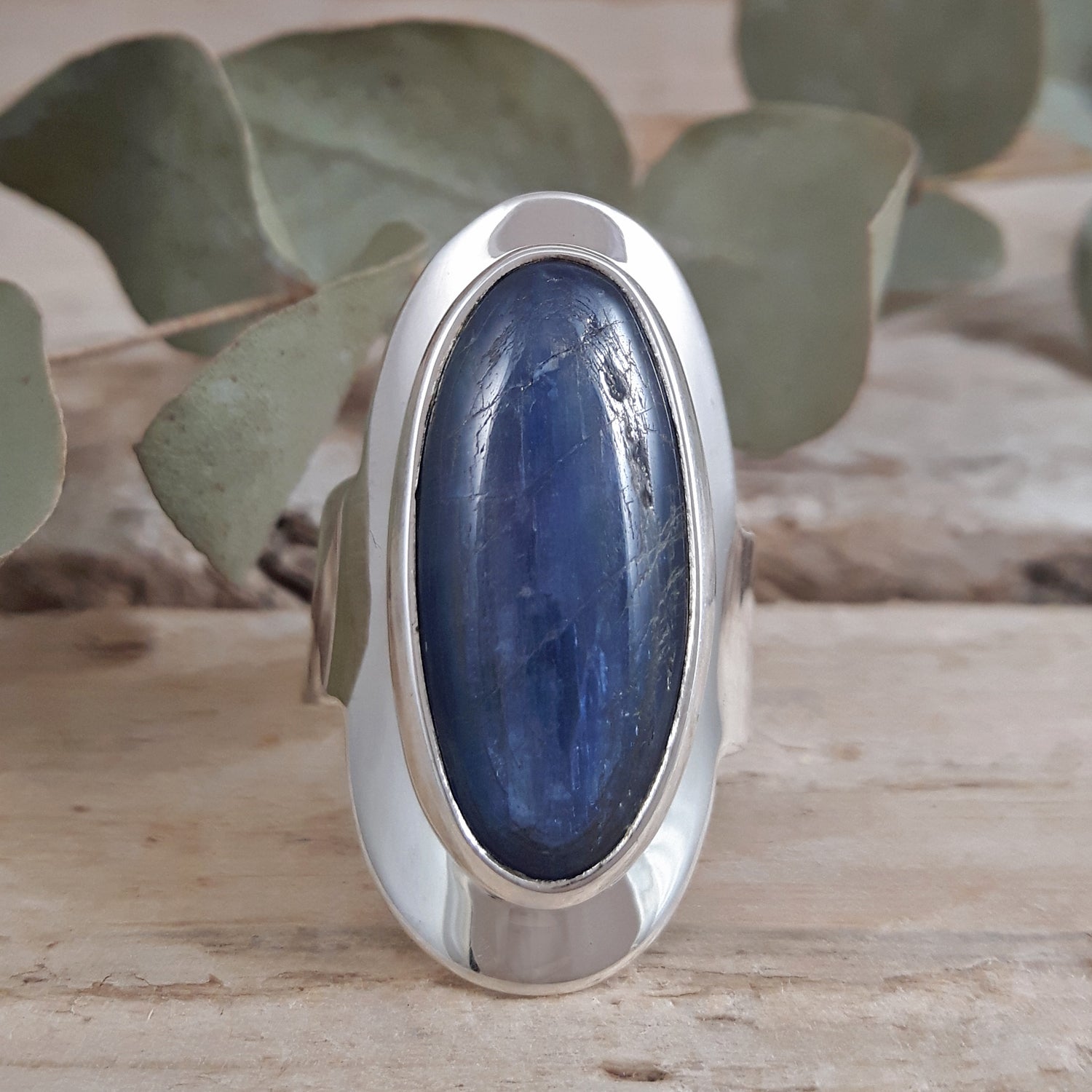 Monet Kyanite Adjustable Rings
