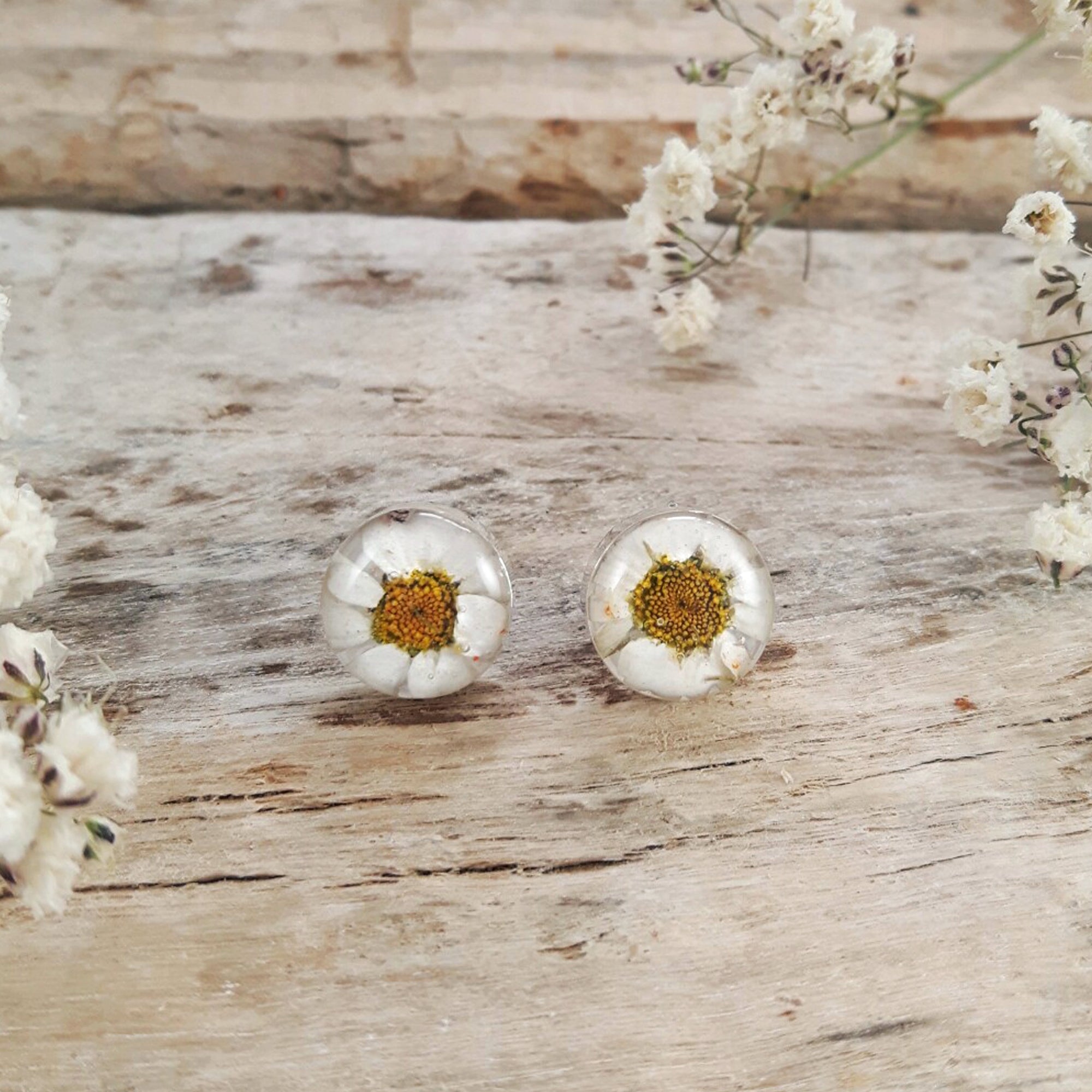 Flores Daisy Round Stud Earrings