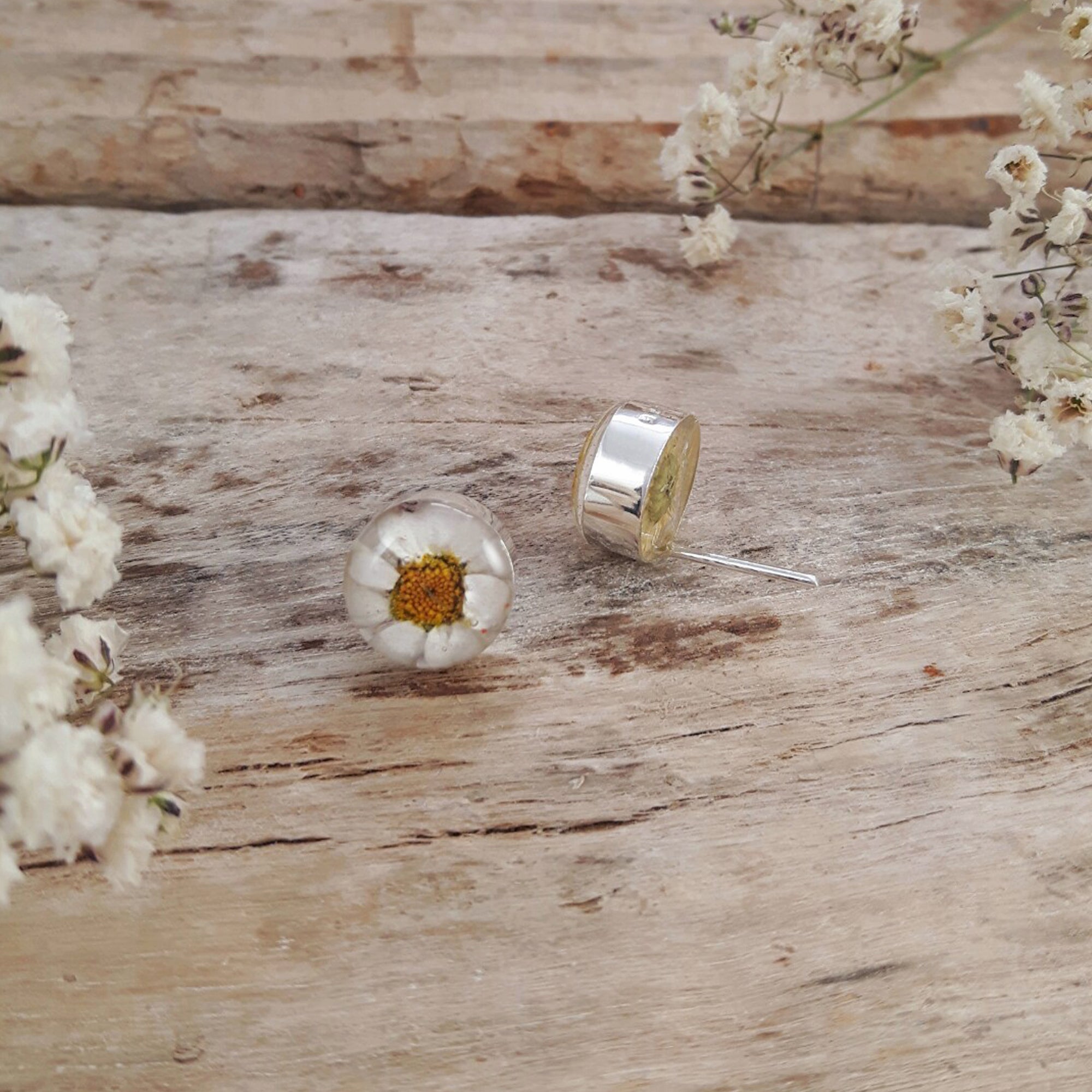 Flores Daisy Round Stud Earrings