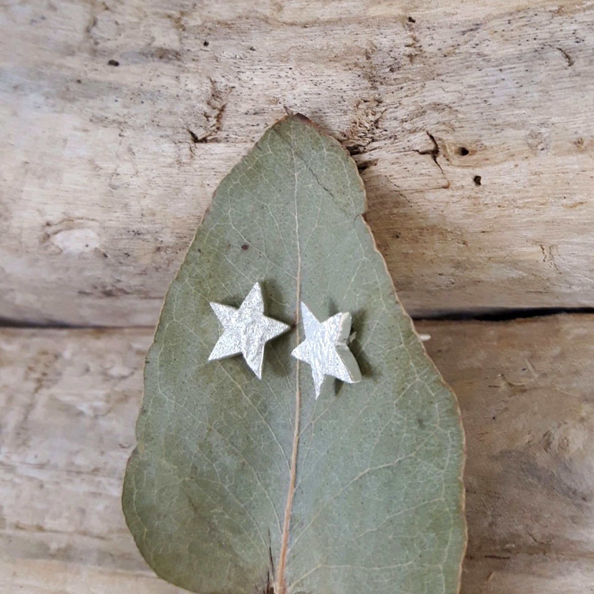 Foresta Tiny Star Silver Stud Earrings
