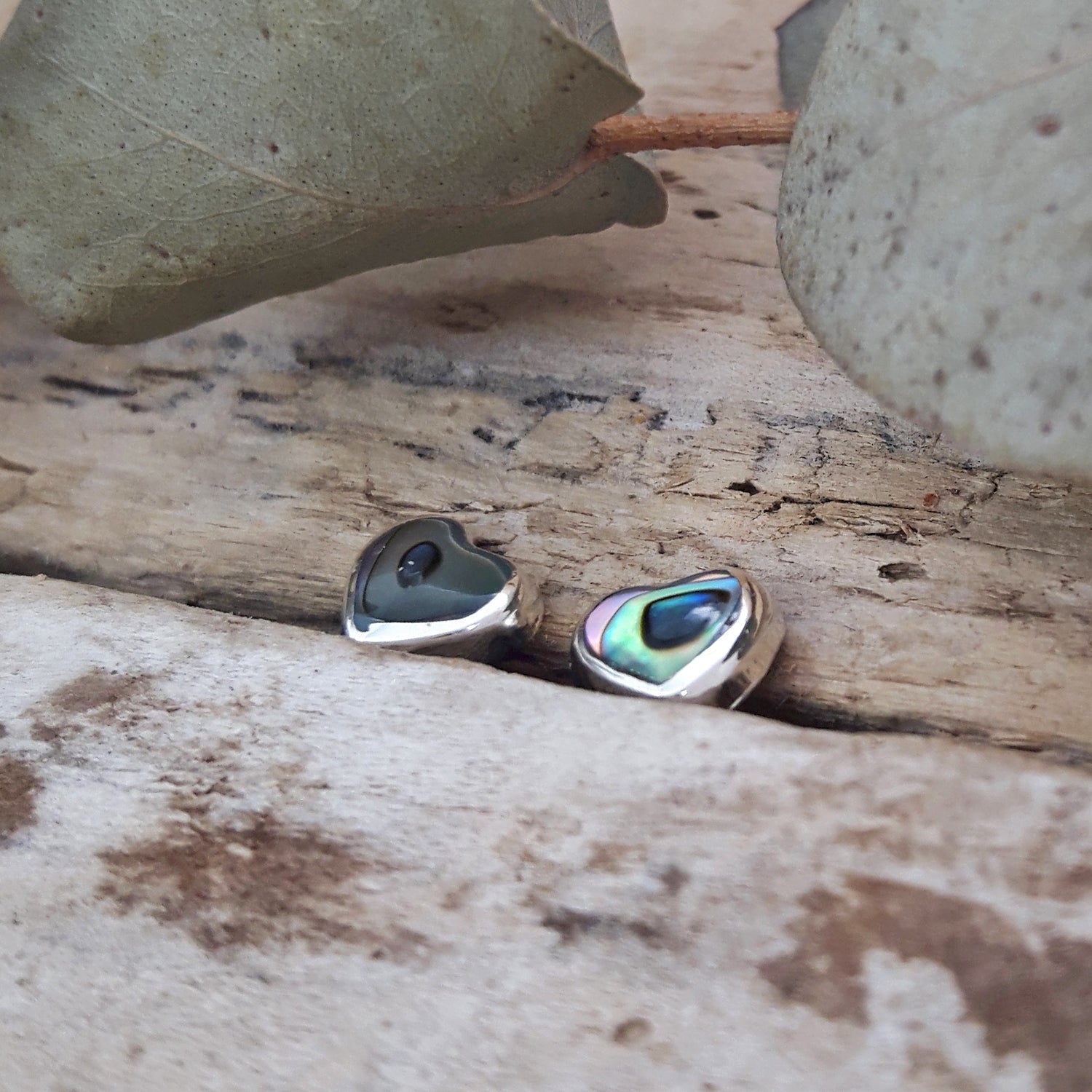 Close-up of dainty abalone heart stud earrings in 925 sterling silver on driftwood, showing iridescent green and blue shell.