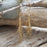 Foresta Rain Gold Drop Earrings