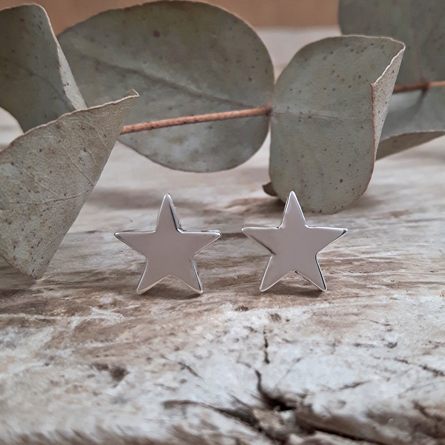 Muse Star Stud Earrings