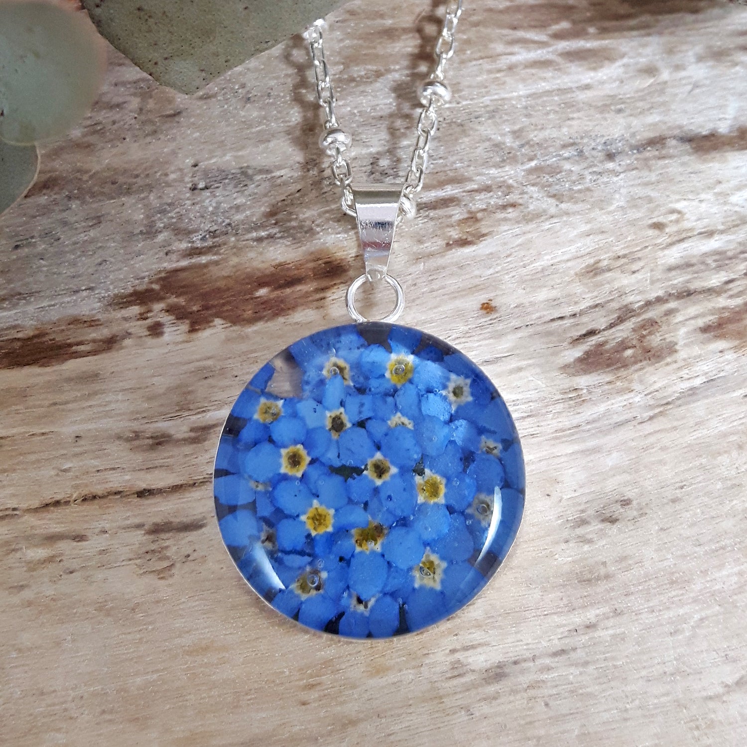 Flores Forget-Me-Not Real Flower Round Medium Pendant