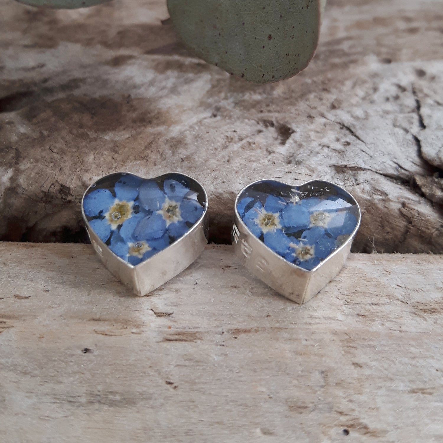 Flores Forget-Me-Not Heart Stud Earrings