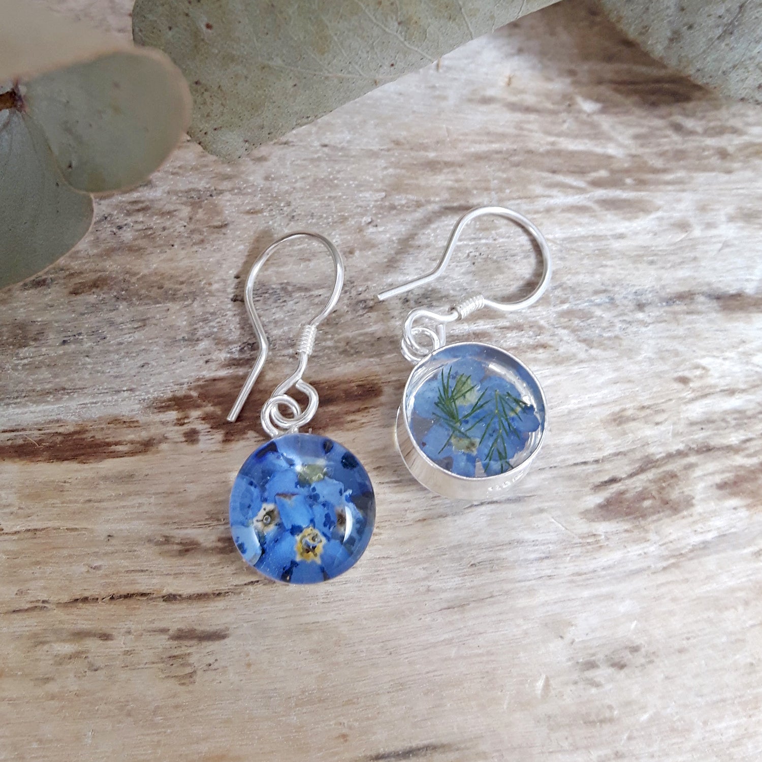 Flores Forget-Me-Not Real Flower Round Drop Earrings