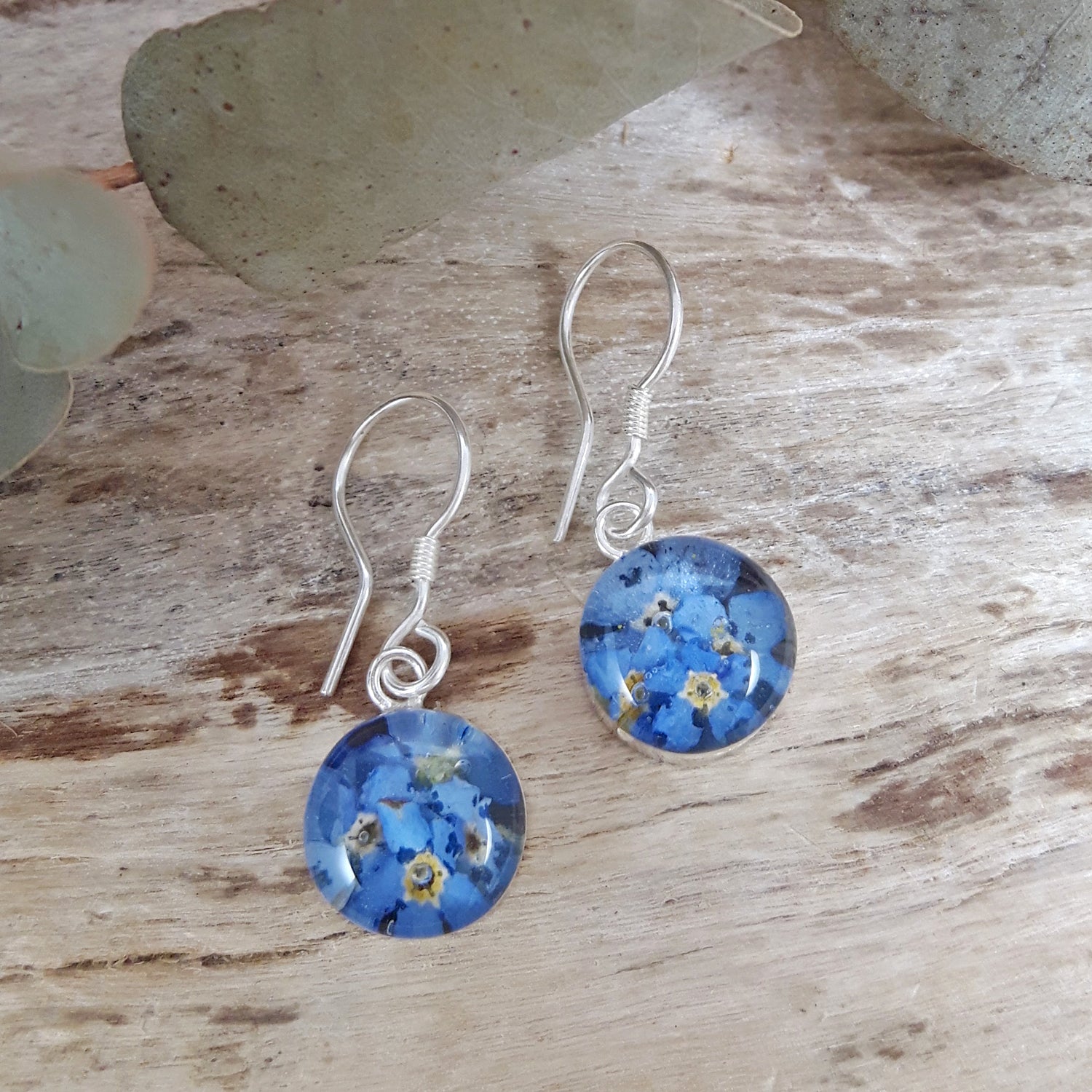 Flores Forget-Me-Not Real Flower Round Drop Earrings