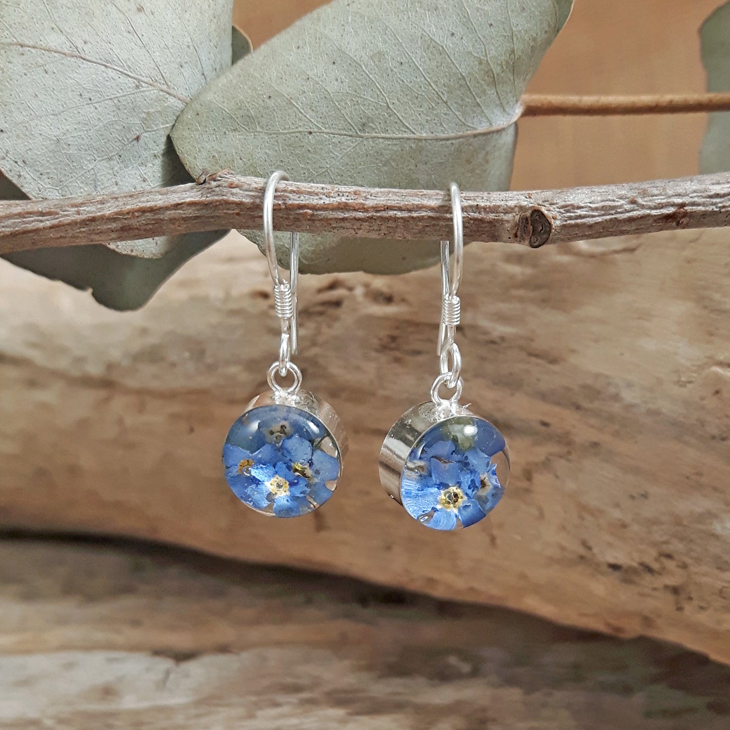 Flores Forget-Me-Not Real Flower Round Drop Earrings