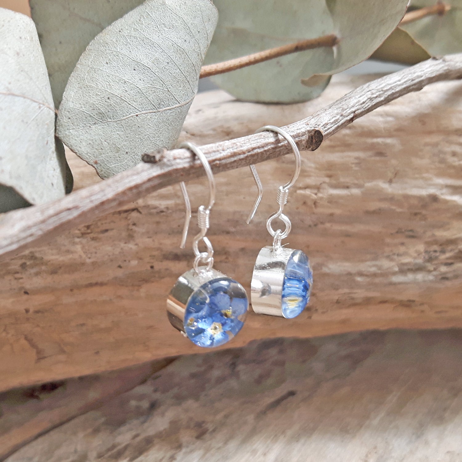 Flores Forget-Me-Not Real Flower Round Drop Earrings