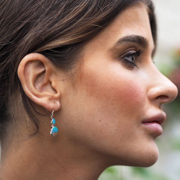 Flinder Turquoise Double Dotty Drop Earrings