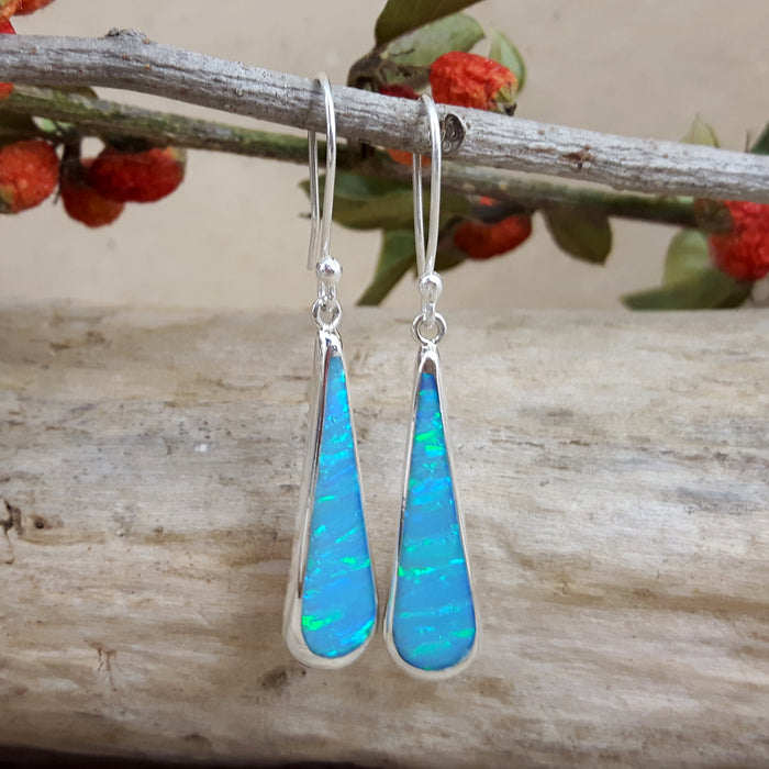 Flinder Turquoise Long Drop Earrings