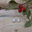 Flinder Droplet White Stud Earrings