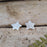 Foresta Star Hammered Stud earrings